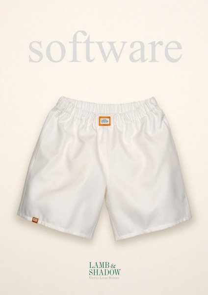 Ivory Software 2012